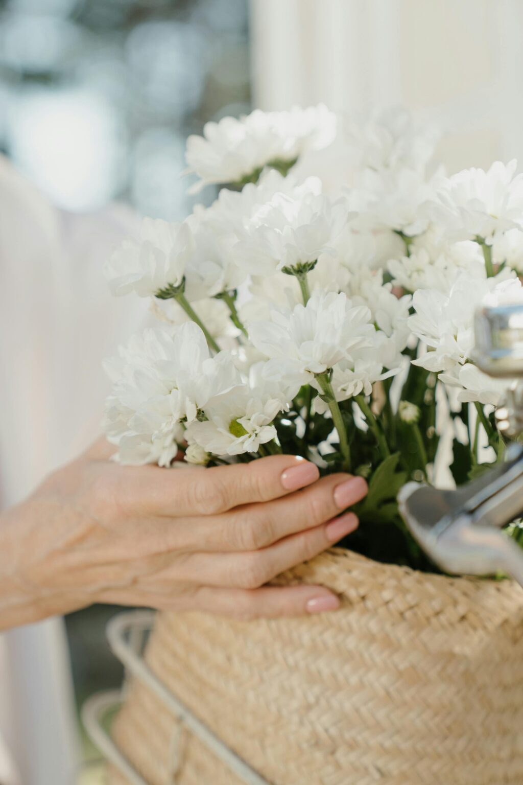 Hands arranging soft white flowers in a basket.